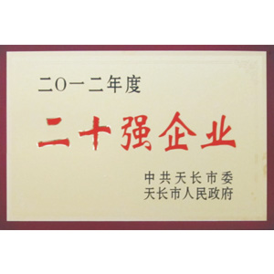 二十強企業(yè)